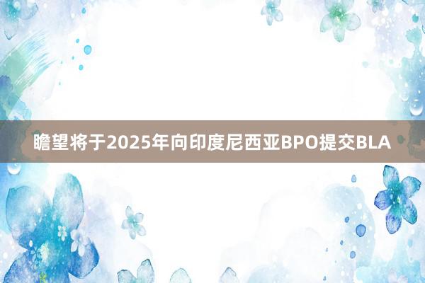 瞻望将于2025年向印度尼西亚BPO提交BLA